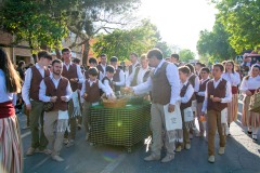 desfile-festero-almansa-2025-77