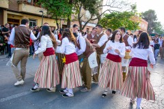 desfile-festero-almansa-2025-79