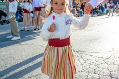 desfile-festero-almansa-2025-84