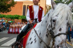entrada-cristiana-almansa-2025-300