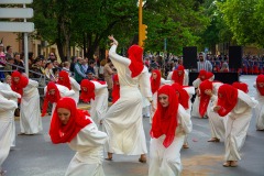 entrada-cristiana-almansa-2025-376