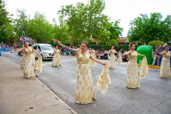 entrada-cristiana-almansa-2025-392
