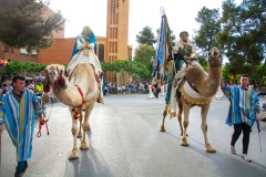 entrada-cristiana-almansa-2025-419