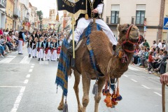 entrada-cristiana-almansa-2025-458