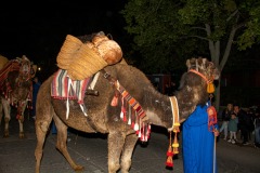 entrada-mora-fiestas-almansa-2025-107