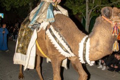 entrada-mora-fiestas-almansa-2025-111