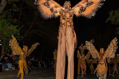 entrada-mora-fiestas-almansa-2025-117