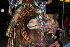 entrada-mora-fiestas-almansa-2025-95