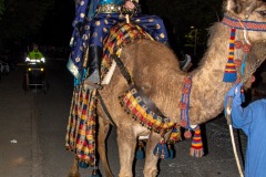 entrada-mora-fiestas-almansa-2025-96