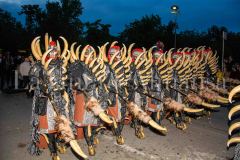 Entrada-mora-almansa-2026-254