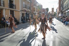 DSC_6591