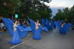 DSC_7108