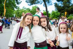 desfile-festero-almansa-2026-103-scaled