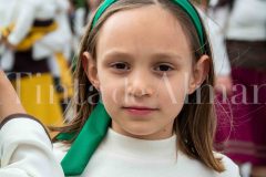 desfile-festero-almansa-2026-104-scaled