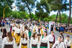 desfile-festero-almansa-2026-110-scaled