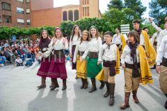 desfile-festero-almansa-2026-112-scaled