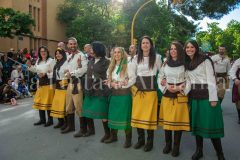 desfile-festero-almansa-2026-116-scaled
