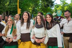 desfile-festero-almansa-2026-117-scaled