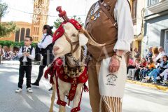 desfile-festero-almansa-2026-122-scaled