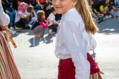 desfile-festero-almansa-2026-132-scaled