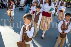 desfile-festero-almansa-2026-142-scaled