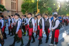 desfile-festero-almansa-2026-19-scaled