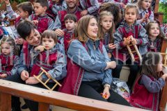 desfile-festero-almansa-2026-191-scaled
