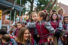 desfile-festero-almansa-2026-195-scaled