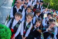 desfile-festero-almansa-2026-22-scaled