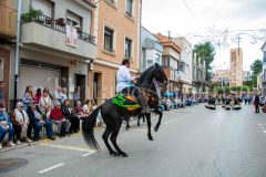 desfile-festero-almansa-2026-255-scaled