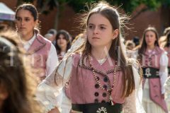 desfile-festero-almansa-2026-286-scaled