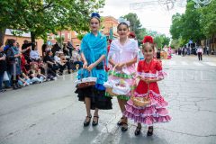 desfile-festero-almansa-2026-314-scaled