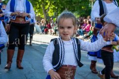 desfile-festero-almansa-2026-43-scaled