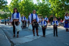 desfile-festero-almansa-2026-44-scaled