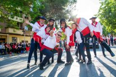 desfile-festero-almansa-2026-67-scaled