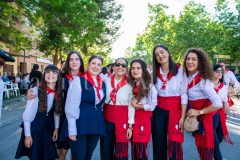 desfile-festero-almansa-2026-74-scaled