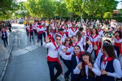 desfile-festero-almansa-2026-76-scaled
