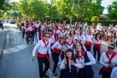 desfile-festero-almansa-2026-78-scaled