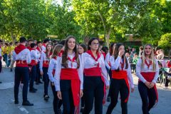 desfile-festero-almansa-2026-80-scaled