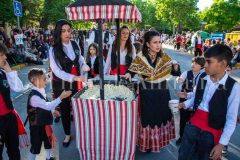 desfile-festero-almansa-2026-91-scaled