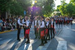 desfile-festero-almansa-2026-93-scaled
