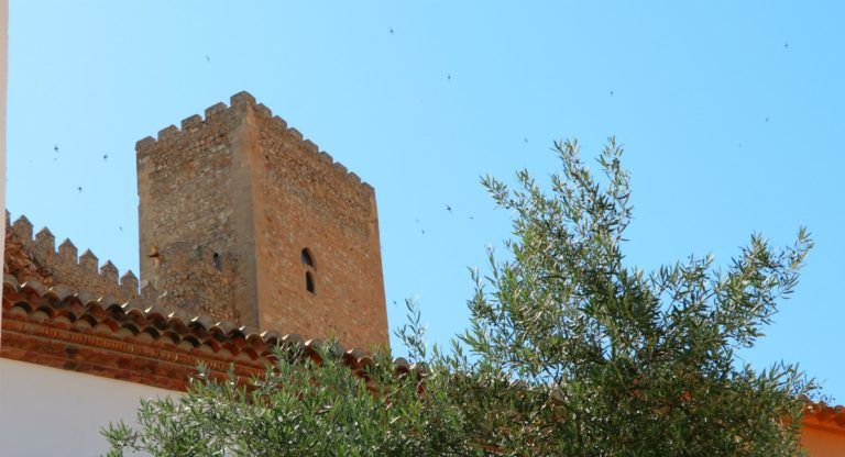 Castillo de Almansa visitas mes de septiembre