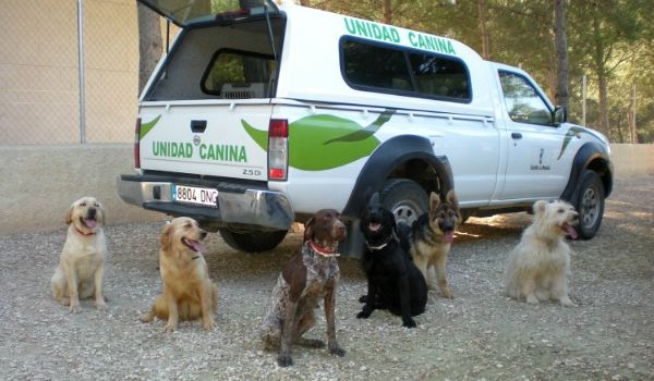Unidad canina contra el veneno en Castilla-La Mancha