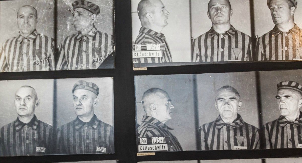 Judíos auschwitz