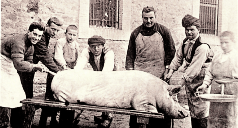 Matanza del cerdo hace años (2)