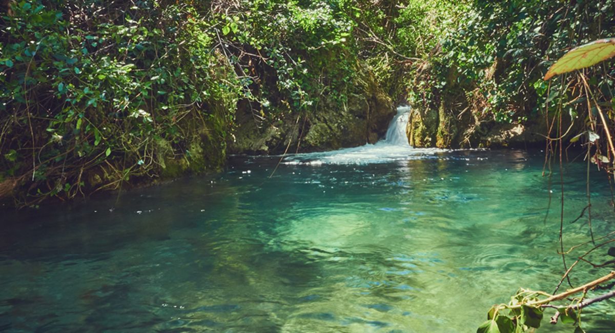 Charco Pataco naturaleza