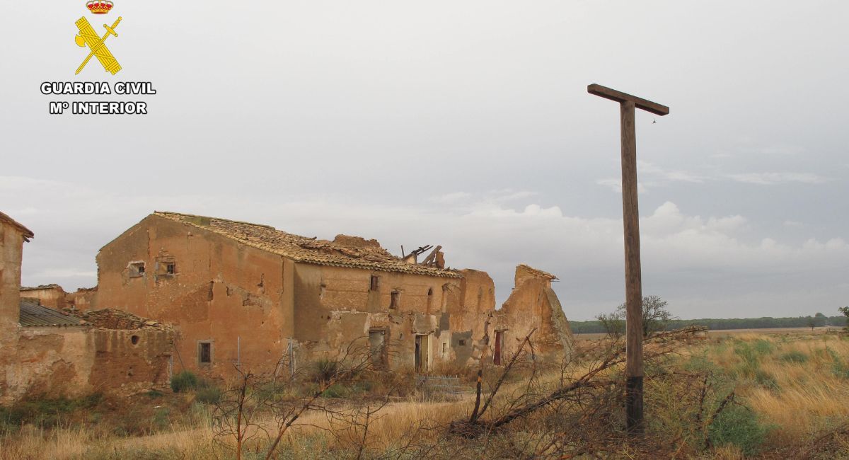 aves rapaces investigado albacete