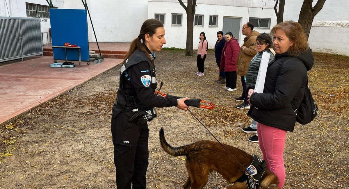 semana discapacidad Almansa