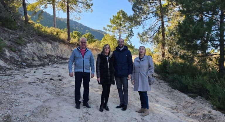 ayudas diputación albacete pedanías