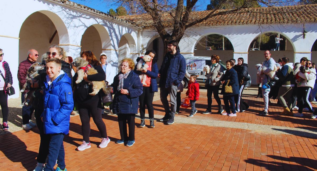 bendición animales almansa belén